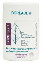 Boreade Stick Lip's repair