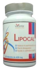 Lispocal 600 mg 60 Capsules Lispocal 600 mg 60 Capsules