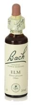 Bach 11 Elm 20 ml