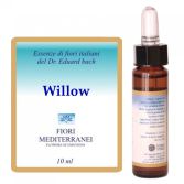 Fm 38 Willow 10 ml