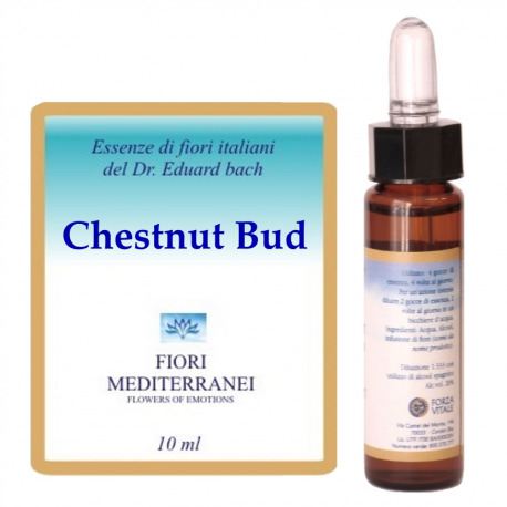 Forza Vitale Fm 7 Chesnut Bud 10 ml