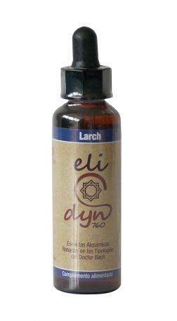Larch elidyn 20ml celidyn Larch elidyn 20ml celidyn