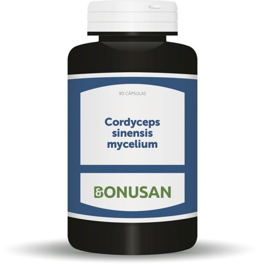 Cordyceps sinensis mycelium Cordyceps sinensis mycelium