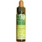 Beech Plantis No. 03 10 ml