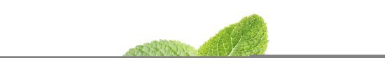 Organic Fresh Breath Gummies Organic Fresh Breath Gummies