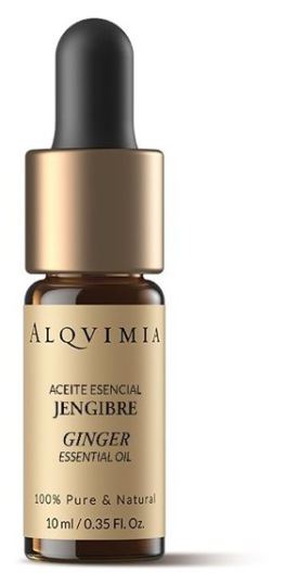 Ginger Essential Oil 10 ml Ginger Essential Oil 10 ml